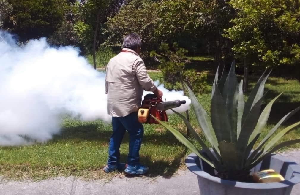 Preparan 2da. jornada nacional contra el dengue en el sur