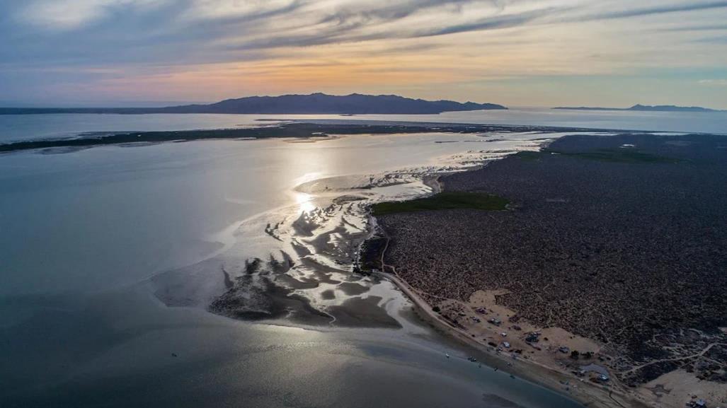 Conoce estos tesoros sumergidos de la Isla Santa Margarita en BCS