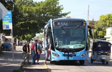 Descubre las nuevas rutas del transporte Va y Ven en el sur de Mérida