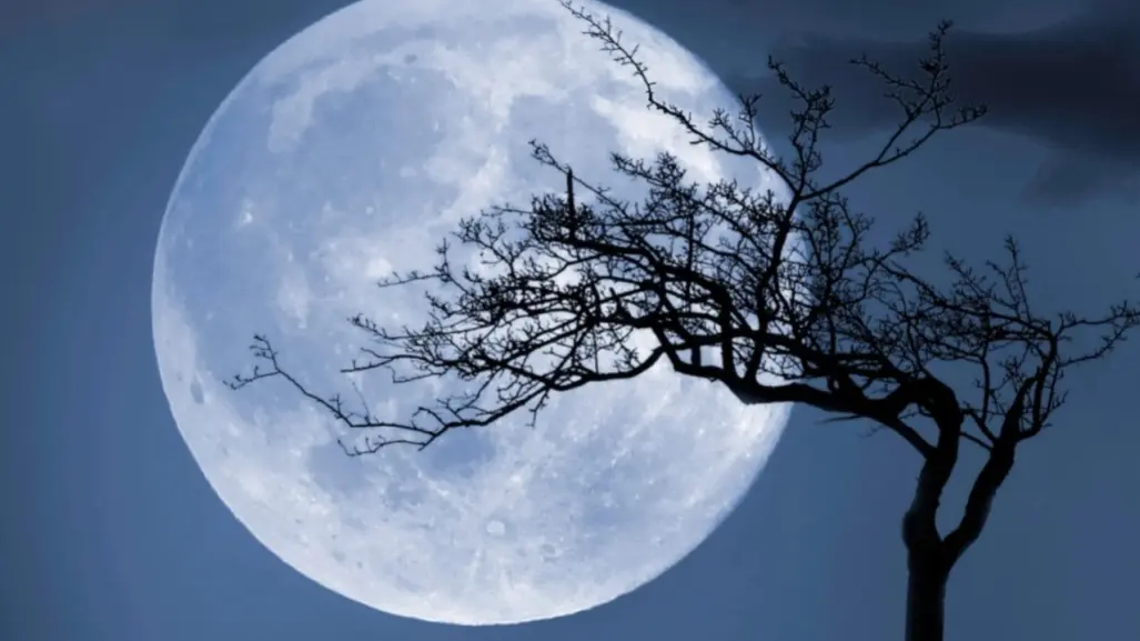 ¿Cómo ver la Luna Azul en México? Conoce más de este fenómeno