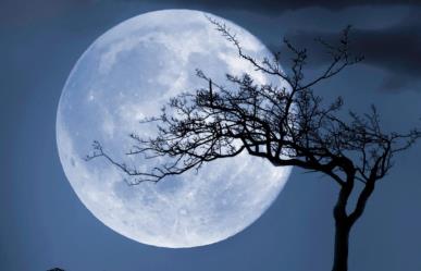 ¿Cómo ver la Luna Azul en México? Conoce más de este fenómeno