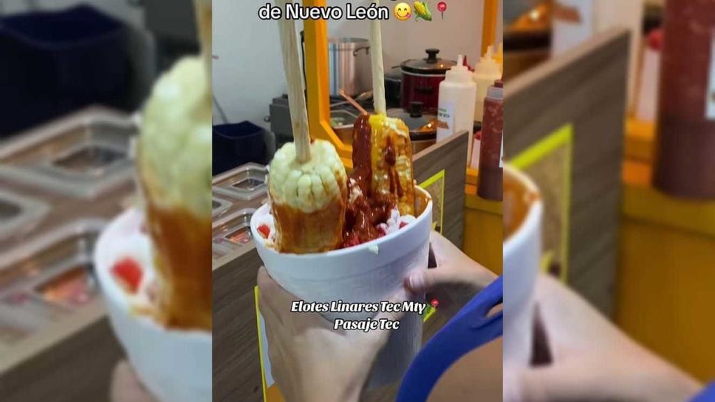 Elotes Linares en Monterrey: ¡Los elotes más grandes del Estado!