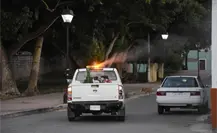 SSY intensifica fumigación en Mérida y municipios de Yucatán