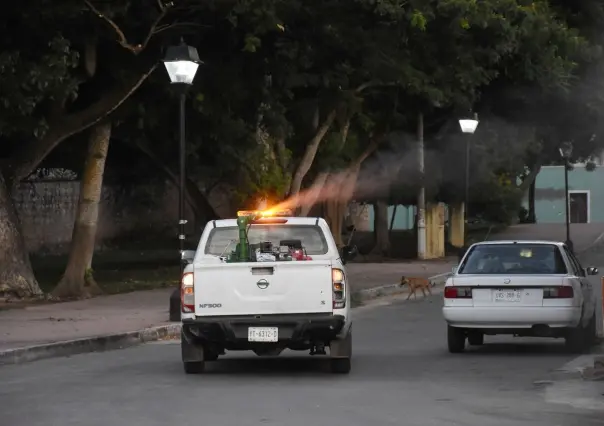 SSY intensifica fumigación en Mérida y municipios de Yucatán