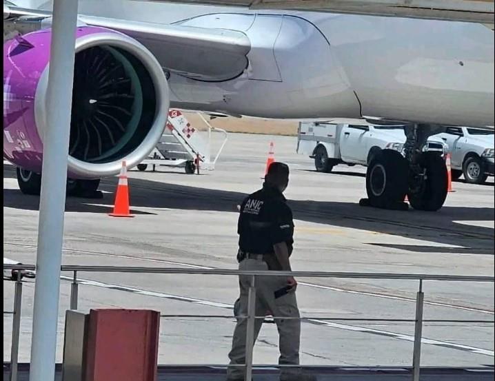 En un avión de Volaris abandonaron  uin feto humano. Foto. Facebook