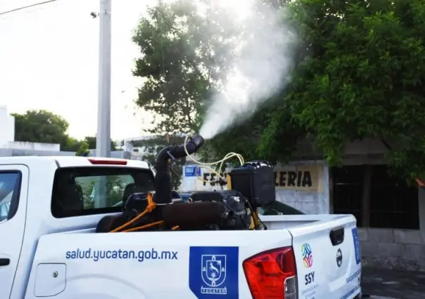 ¿Dónde se Fumigará en Mérida del 12 al 16 de Agosto?