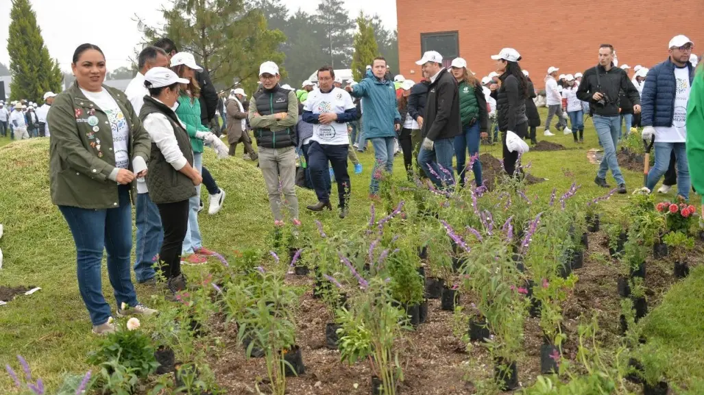 ¡Se unen Fundación Azteca y Heineken México! Conservan áreas verdes en Metepec