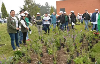 ¡Se unen Fundación Azteca y Heineken México! Conservan áreas verdes en Metepec