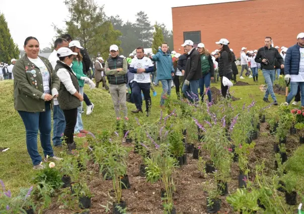 ¡Se unen Fundación Azteca y Heineken México! Conservan áreas verdes en Metepec