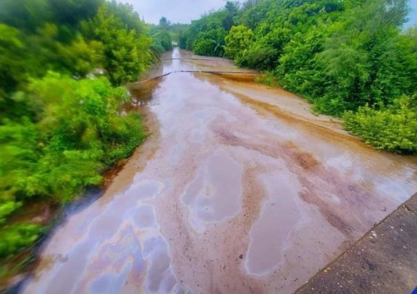 Impacto ambiental en Altamira: Ayuntamiento inspecciona escurrimiento hacia la laguna