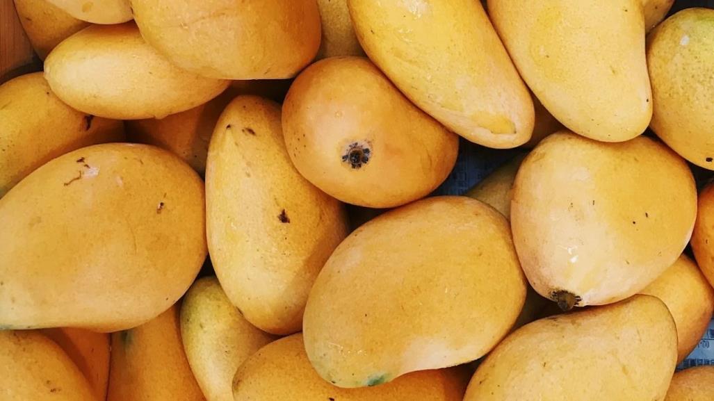 ¿Qué son las manchas negras en los mangos?