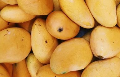 ¿Qué son las manchas negras en los mangos?