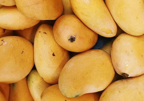 ¿Qué son las manchas negras en los mangos?