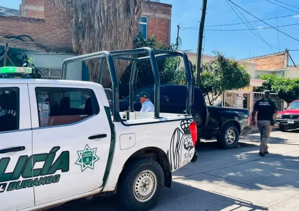 Cerca de tres casos de maltrato animal han sido turnados a Fiscalía