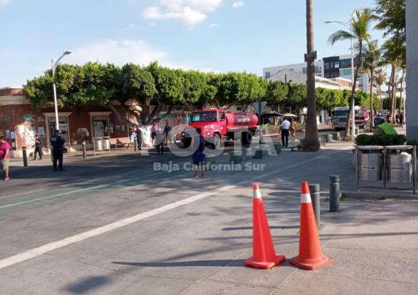 Conato de incendio en nevería La Fuente del Malecón