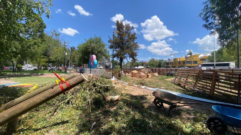 Podrían reubicar el Parque Perrón