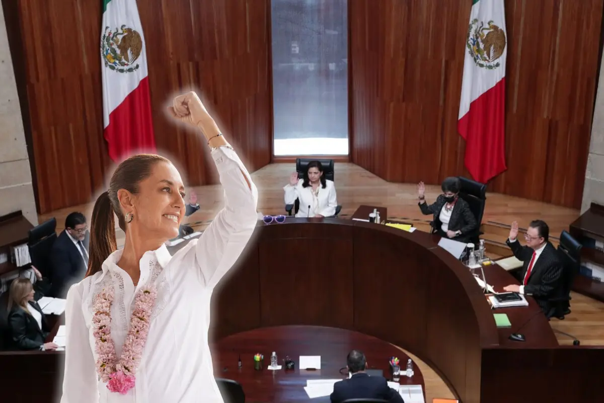 TEPJF declara oficialmente a Sheinbaum como Presidenta electa. Foto: Especial