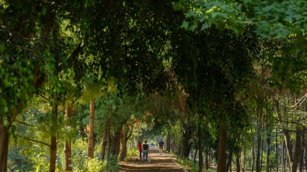 ¡No te pierdas el BioFest! Llega primer Festival por la Naturaleza en la CDMX