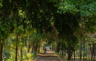 ¡No te pierdas el BioFest! Llega primer Festival por la Naturaleza en la CDMX