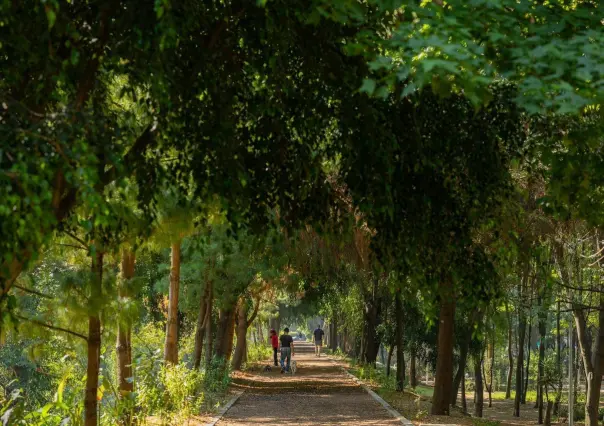 ¡No te pierdas el BioFest! Llega primer Festival por la Naturaleza en la CDMX
