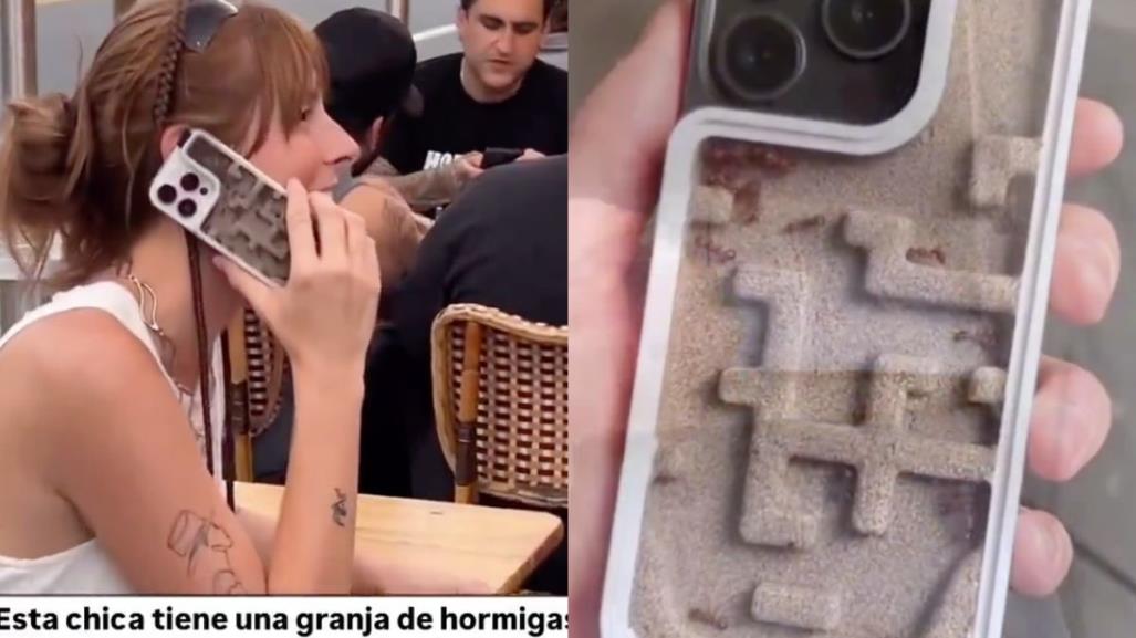 ¿Es real?, usan hormigas vivas para decorar fundas de celulares