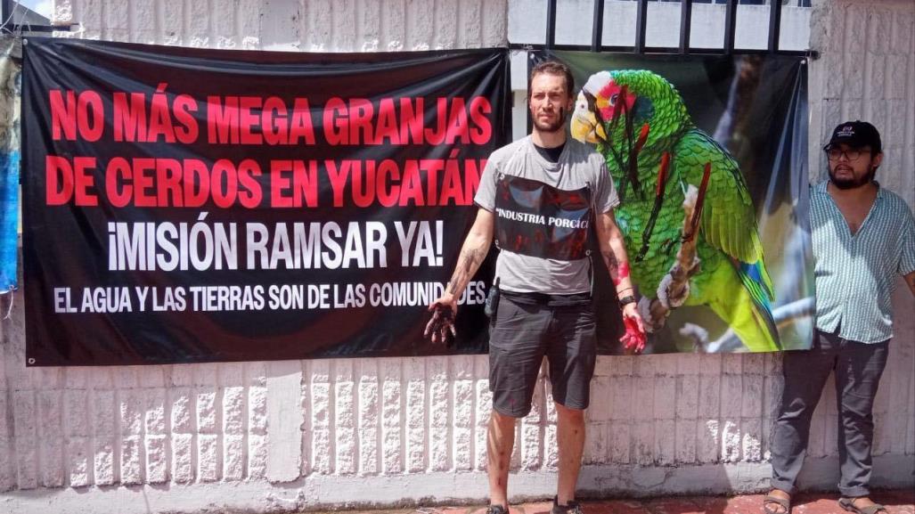 Protestan contra la contaminación de las mega granjas porcícolas en Yucatán