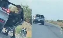 Raza Husky, las mascotas más abandonadas por sus dueños Raza Husky, las mascotas más abandonadas por sus dueños