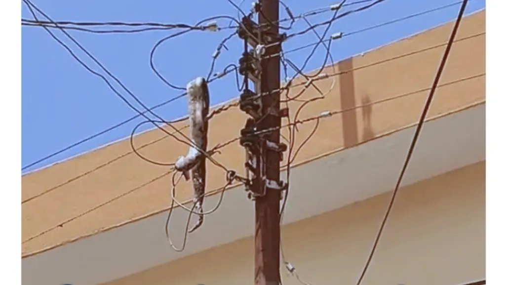 Boa electrocutada en el Centro de Mérida causa apagón