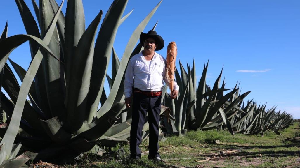 Edomex cuna del pulque; ocupa el tercer lugar nacional