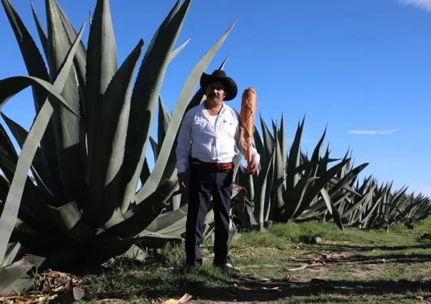 Edomex cuna del pulque; ocupa el tercer lugar nacional