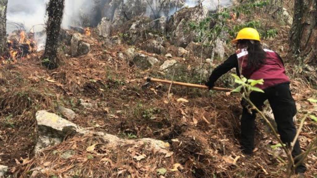 Incendios forestales en Tamaulipas: Medidas preventivas