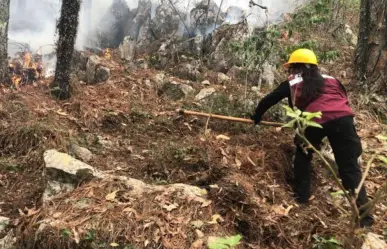 Incendios forestales en Tamaulipas: Medidas preventivas