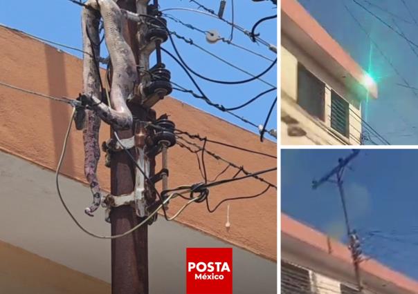 VIDEO: Serpiente provoca apagón masivo en Mérida: ¡Mira cómo sucedió todo!