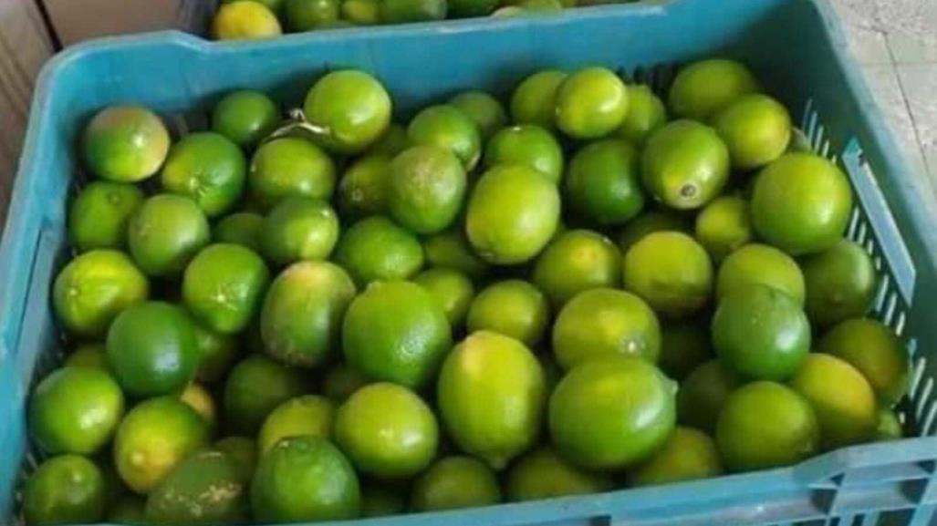 Crisis del limón: Escasez y aumento de precios sacuden el mercado