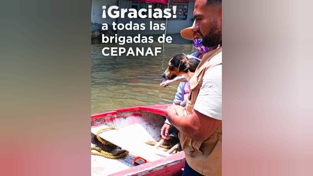 Refugios temporales para animales afectados por lluvias en Chalco. Foto: Especial