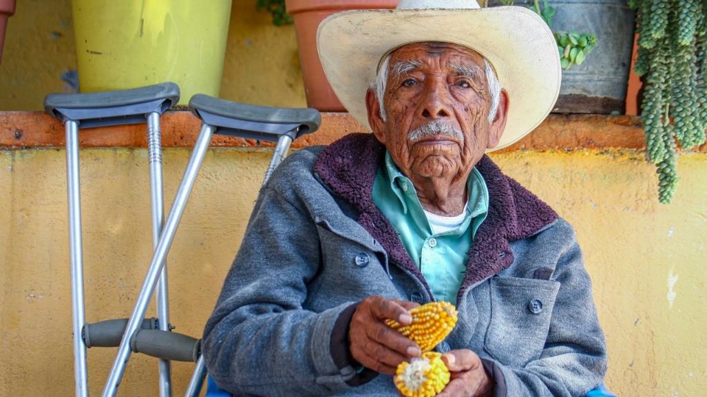 Abren Pensión Bienestar Adultos Mayores: Requisitos, Fechas, Registro