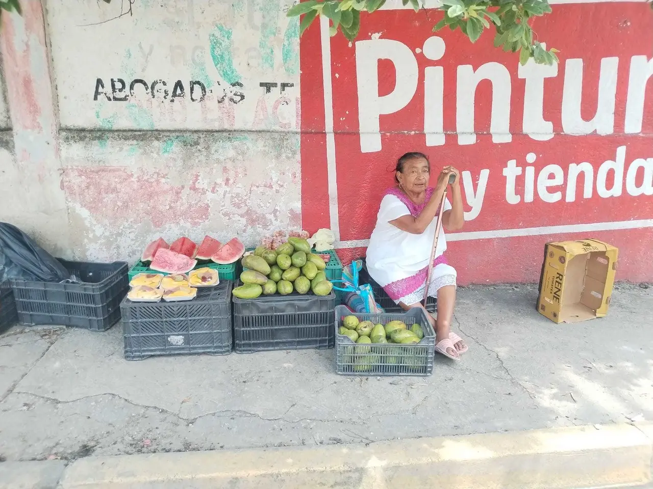 Doña Dolores, vendedora local desde hace más de 45 años. Foto: Redes sociales