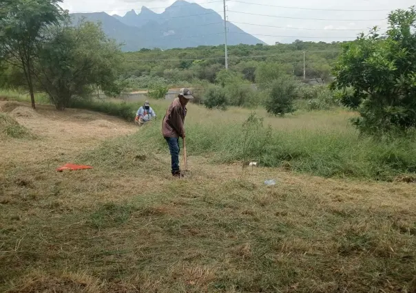 Juárez realiza limpieza en áreas verdes para prevenir el dengue