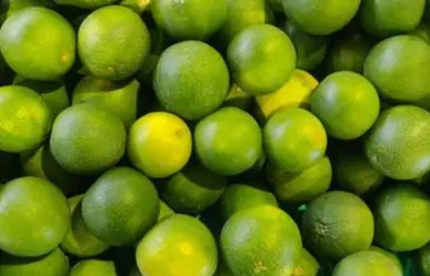 Tianguis Limonero en Apatzingán, Michoacán, reabre tras paro por extorsiones
