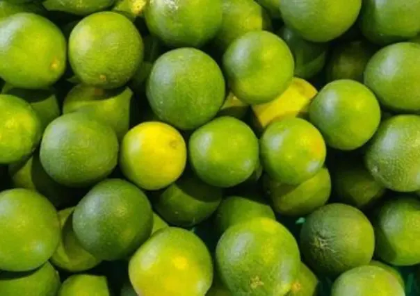 Tianguis Limonero en Apatzingán, Michoacán, reabre tras paro por extorsiones