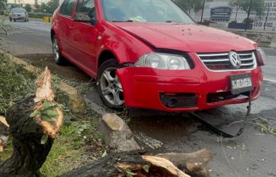 Taxista choca a dos jóvenes que se impactan contra árbol en Iztacalco y huye