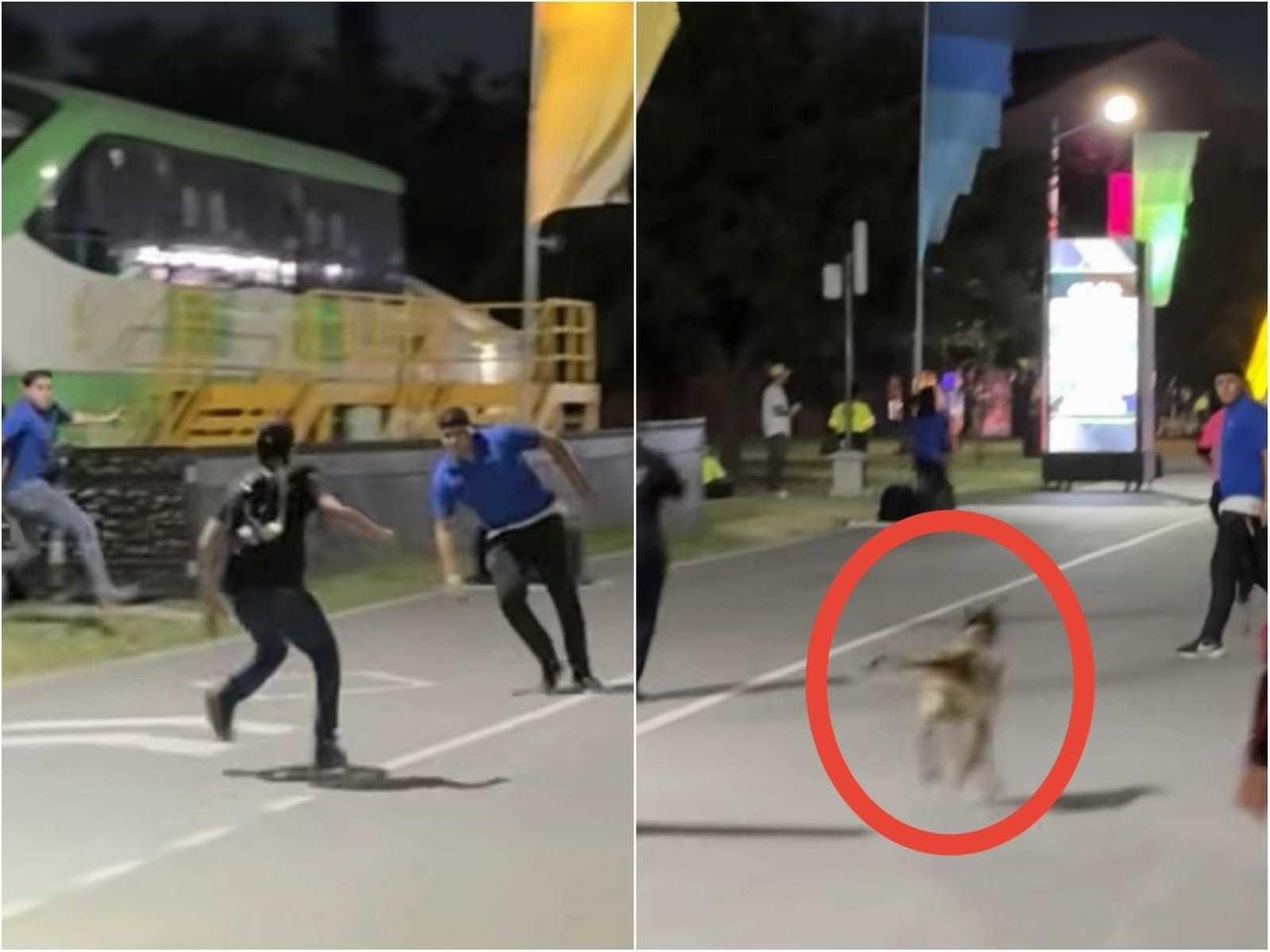 El joven trepó una barda y logró entrar al festival, pero al momento de entrar al lugar, personal de seguridad lo vieron e intentaron detenerlo. Foto: Tiktok.