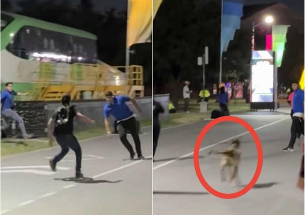 ¡Ni el perro lo alcanzó! Joven se mete sin boleto al Dale Mixx (VIDEO)