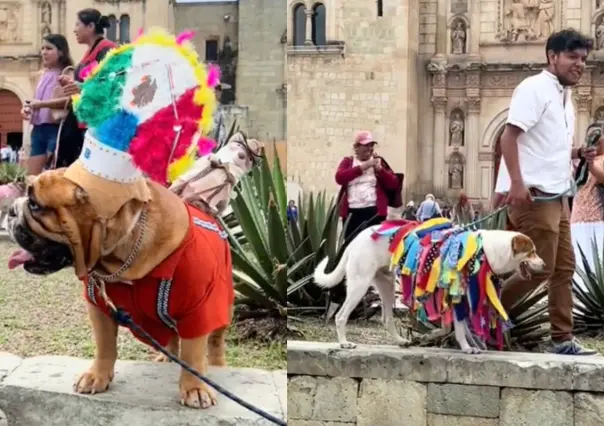 Oaxaca:Perritos adoptados desfilan en contra del maltrato animal