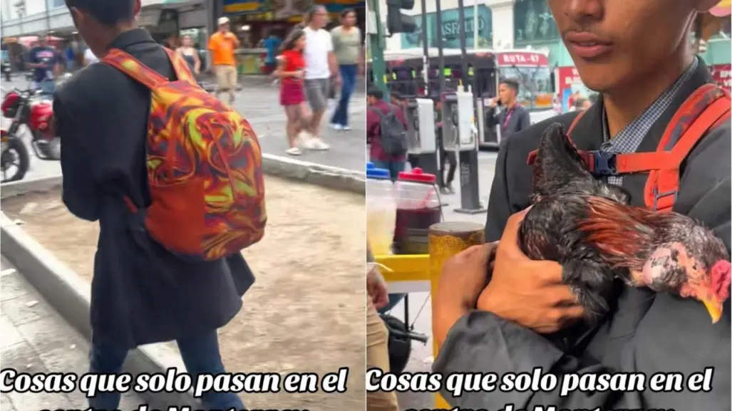 Joven paseando con gallo en Monterrey se hace viral (VIDEO)