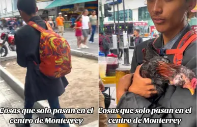 Joven paseando con gallo en Monterrey se hace viral (VIDEO)