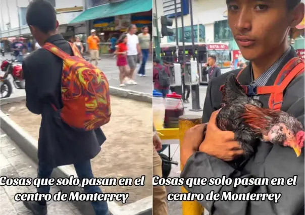 Joven paseando con gallo en Monterrey se hace viral (VIDEO)