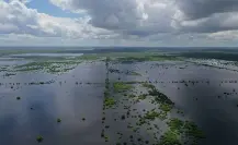Descubre los preocupantes efectos del Cambio Climático en Yucatán
