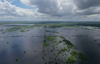 Descubre los preocupantes efectos del Cambio Climático en Yucatán