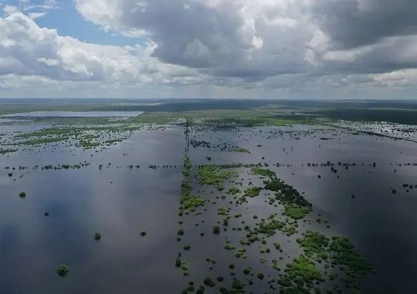 Descubre los preocupantes efectos del Cambio Climático en Yucatán